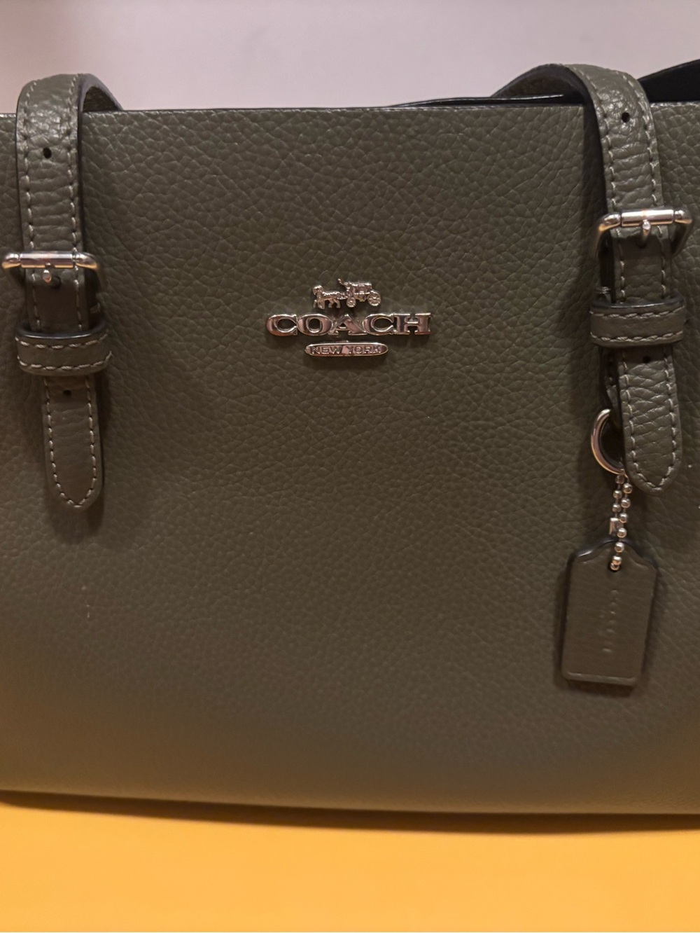 Coach Pebbled Leather Shoulder Bag in Olive